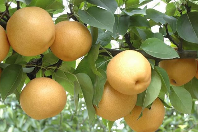 ʲôƷֵãֺʱм۸