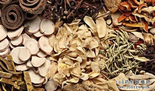 药材市场中药材价格行情